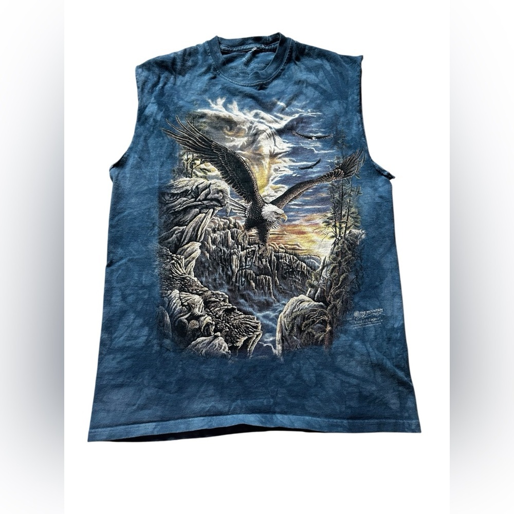 The Mountain, vintage eagle shirt, cropped sleeve, medium